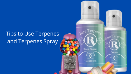 Tips to Use Terpenes