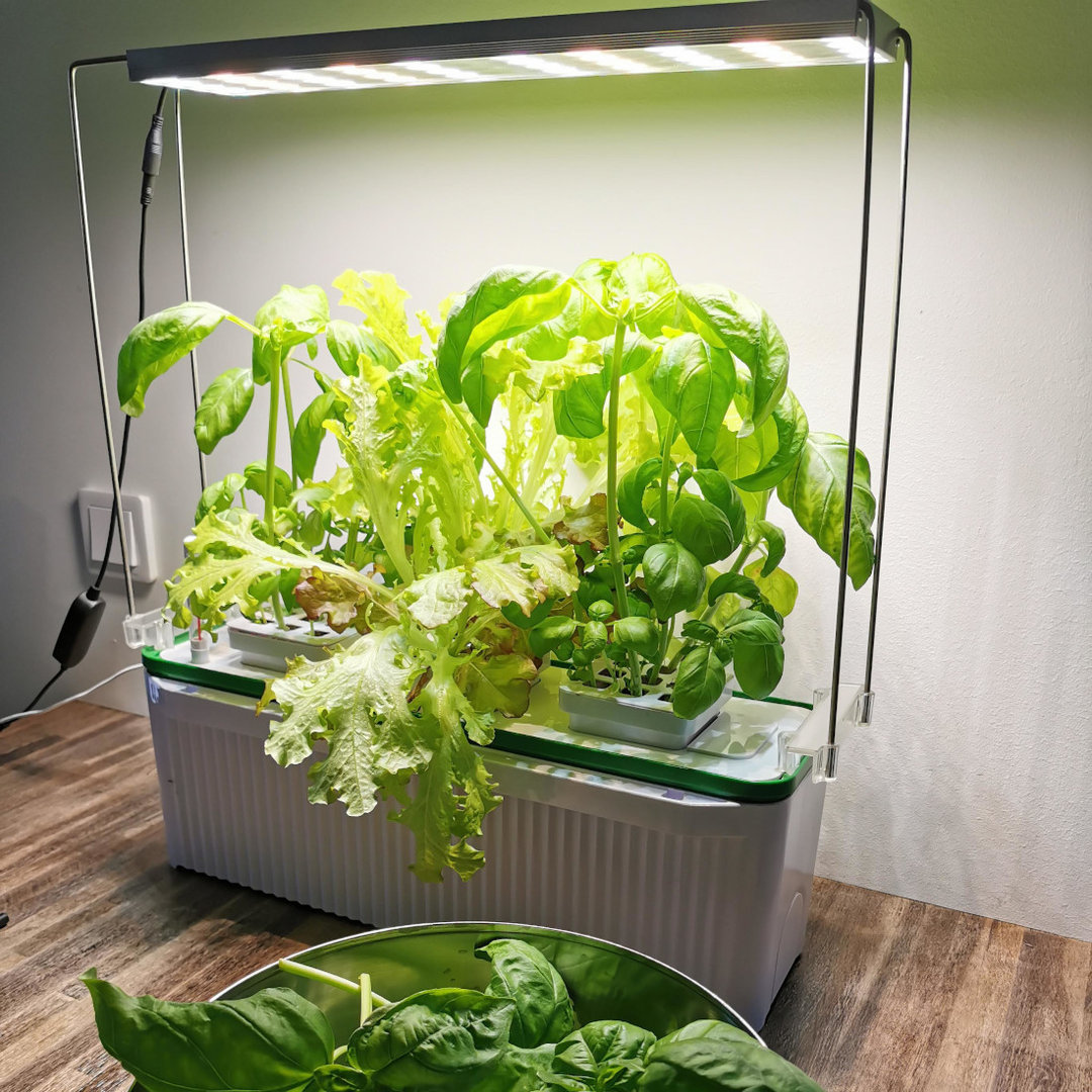 Global Smart Indoor Garden Market Industry Key Players with Growth Status And Forecast 2029